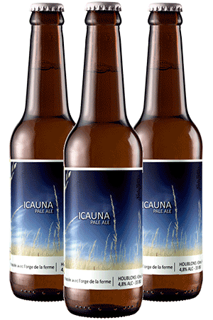 Pack 12 bouteilles de bières artisanales Icauna Popihn