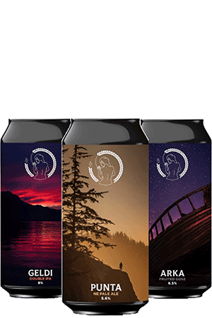 Coffret Canettes nouveautés bières artisanales Brasserie La Superbe