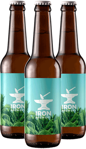 Pack 12 bouteilles gose mangue coco brasserie Iron