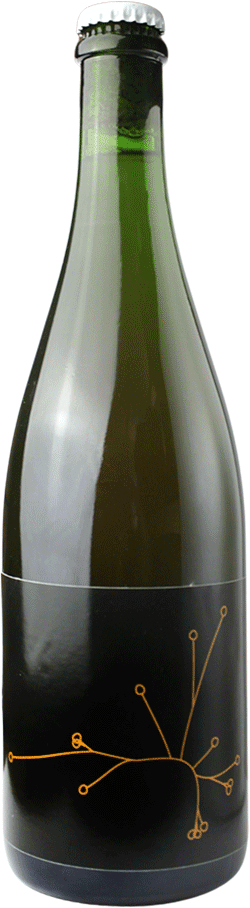 Amer Brett V2 brasserie SPO