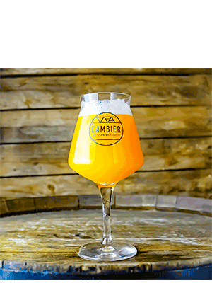 Verre Bière Teku brasserie Cambier