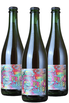 coffret biere artisanale mutation ipa brasserie Ney la patrimoine