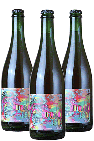 coffret biere artisanale mutation ipa brasserie Ney la patrimoine