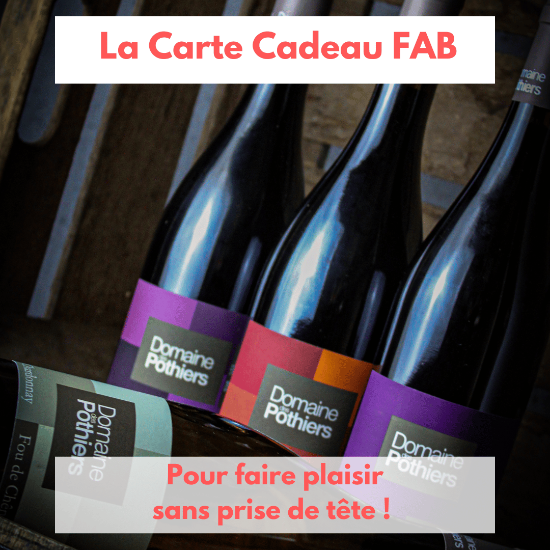 Carte Cadeau Find A Bottle