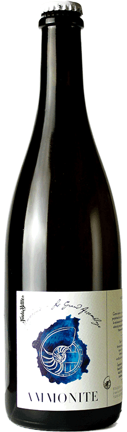 Cuvée Solera 6 Brasserie Ammonite