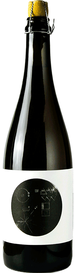 brasserie Popihn sauvages voyager 1