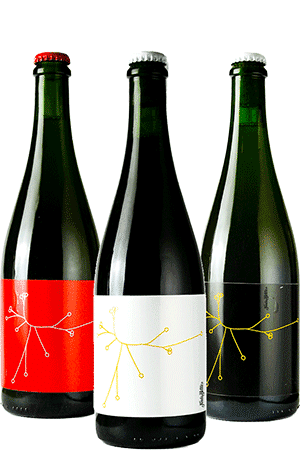Coffret bières artisanales de la Brasserie SPO