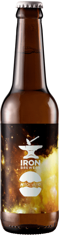 Grape Ale muscat d'hambourg st emilion brasserie Iron