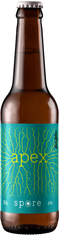 Apex bière ipa brasserie Spore