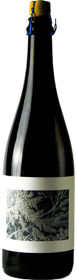 brasserie Popihn sauvages assemblage collab cyclic