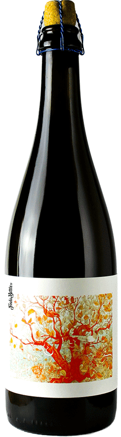 Bière cuvée sauvage mirabelle brasserie popihn