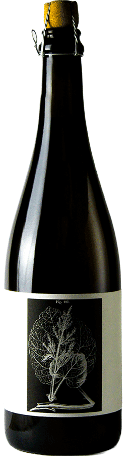 brasserie Popihn sauvages assemblage numero 2 Rhubarbe