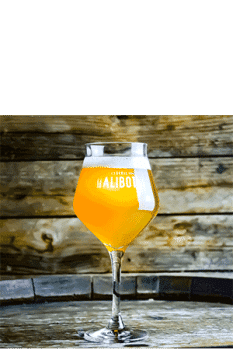 Verre à bière brasserie Galibot