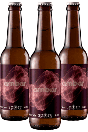 Coffret 6 bouteilles ambar brasserie Spore