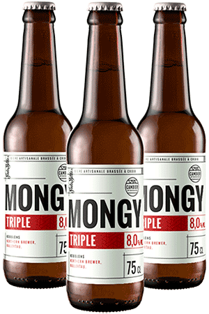Coffret 6 bières mongy triple brasserie Cambier