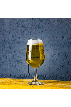 Verre INAO bière artisanale brasserie popihn