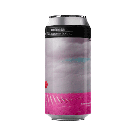 Bière artisanale fruited sour brasserie noisseless