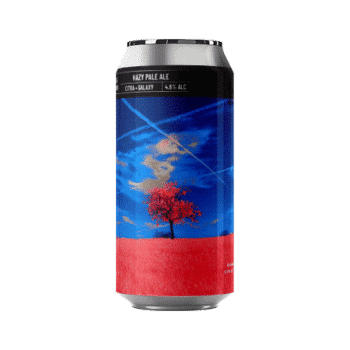 Brasserie Noiseless IR#01 Hazy Pale Ale Citra Galaxy