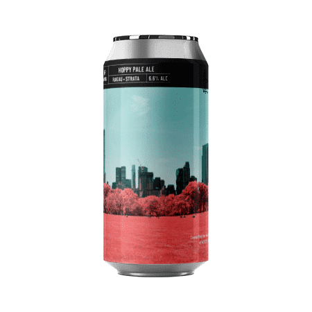 Bière artisanale hoppy pale ale brasserie noiseless