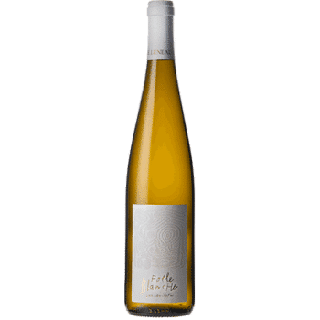 Bouteille de vin Folle Blanche du Domaine Luneau-Papin