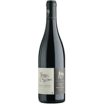 Bouteille de vin Saumur-Champigny Terres Chaudes du Domaine des Roches Neuves - Thierry Germain