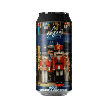 Bière artisanale ratatam sour brasserie mogwai