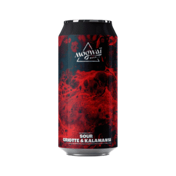 biere artisanale dracoola sour brasserie Mogwai