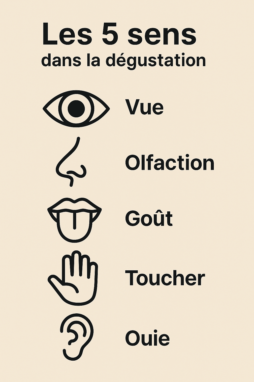 Les sens pour la dégustation-Find A Bottle Les 5 sens dans la dégustation