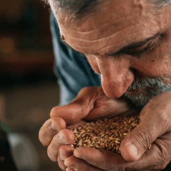 Artisan brasseur